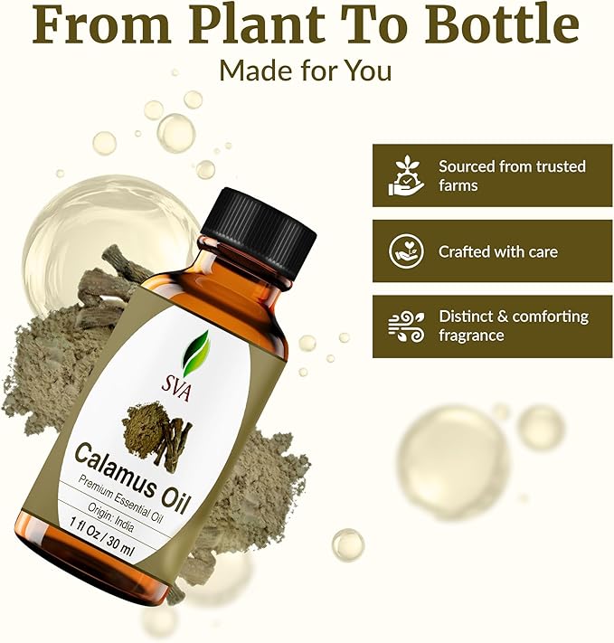 SVA Calamus Essential Oil – 1 Fl Oz – 100% Natural Calamus Oil - for Diffuser, Hair Care, Face, Skin Care, Aromatherapy, Scalp and Body Massage, Soap and Candle Making – with Dropper - Bloomnest