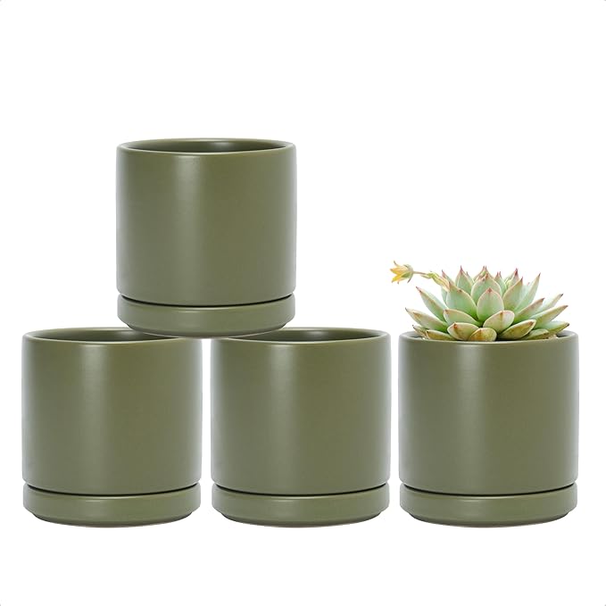 D'vine Dev Set of 4 Small Ceramic Plant Pots, 3.5 Inch Succulent Planter Pot for Plants with Drainage Hole and Saucer, Olive, 94-X-A-0 - Bloomnest