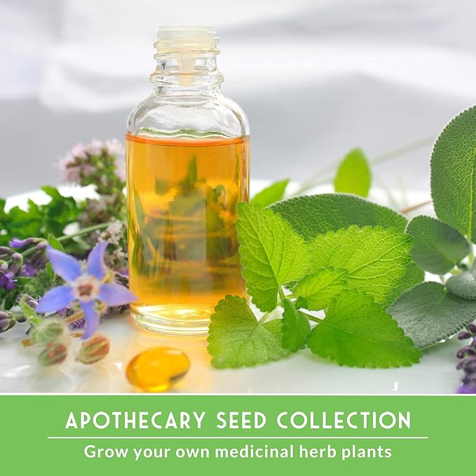 Medicinal Herb Seeds for Planting | 18 Seed Variety Pack of Heirloom, Non-GMO Herbs – Herbal Teas, Tinctures & Home Apothecary Garden Kit – Survival Garden Seeds - Bloomnest