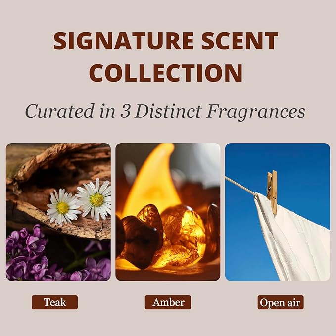 Car Air Freshener - Stone Air Freshener - Car Odor Eliminator for Visor Clip- Natural Scent Starter Kit, Vehicle Scent Diffuser for Cabin, Truck & SUV-Pack of 3 (Teak-Amber-Open Air)-CLIP INCLUDED - Bloomnest