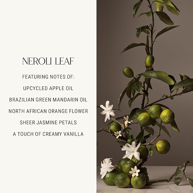Homecourt Luxury Scented Candle, 60-Hour Burn Time, Soy Wax Blend & Organic Cotton Wick, Kiln-Fired Reusable Ceramic Vessel, Neroli Leaf, 8 oz - Bloomnest