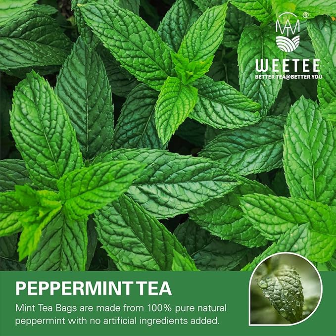 WT WEETEE Peppermint Tea Bags, Made with 100% Pure Peppermint, Fresh Minty Flavour Herbal Tea, Naturally Caffeine Free, 100 Count - Bloomnest