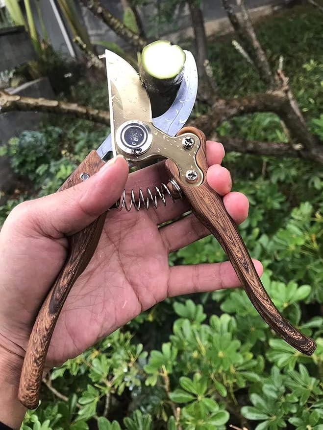 Garden Shears, Japanese Floral branch cutters, Snips for Gardening, Flower scissors Florist clippers, Hand Held Pruners for Gardening Heavy Duty, Pruning shears for garden (Wood grain) - Bloomnest