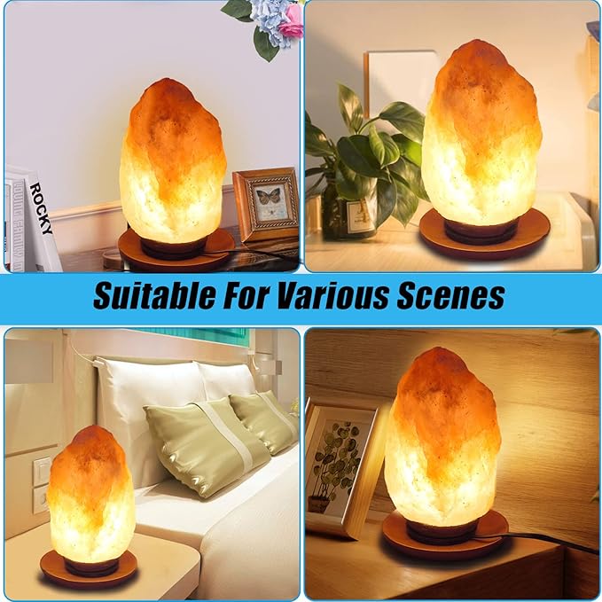 2 Pack Salt Lamp Cord Replacement with 2 Pack Wooden Tray and 8 Pack E12 Halogen Salt Lamp Bulbs