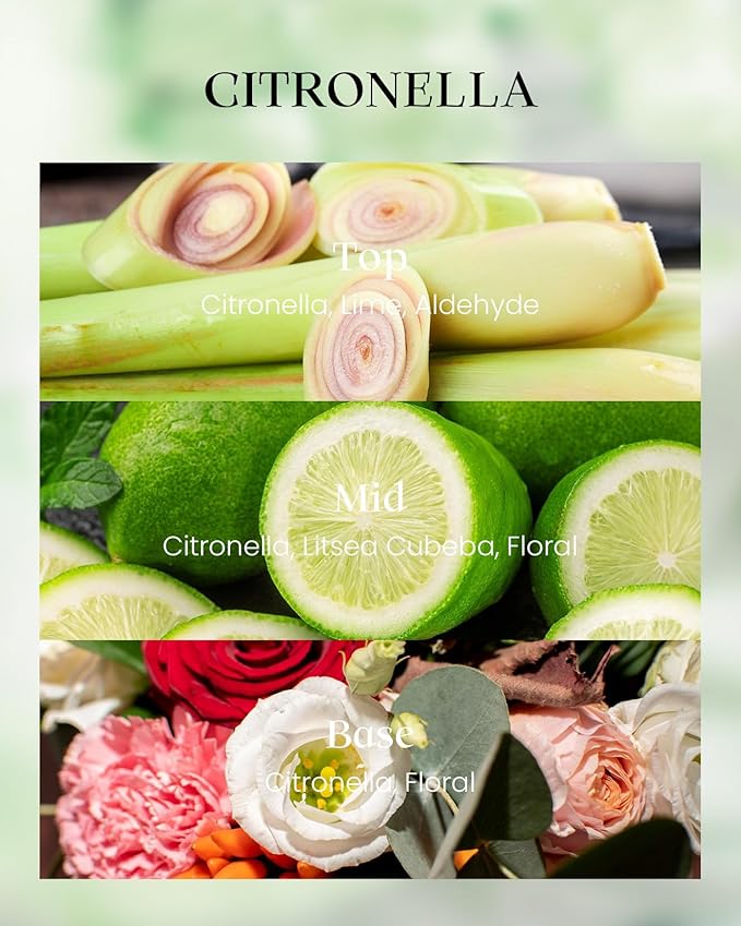 M&SENSE Citronella Candles Outdoor, 42 Hours Burn Natural Citronella Oil Soy Candle for Patio Camping, 8.1oz Long Lasting Lemongrass Summer Candles for Indoor Home Scented - Bloomnest