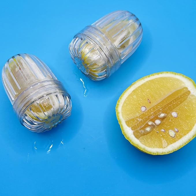 2PCS Small size Fruit Infuser for Wide Mouth Bottles.,Compatible with Stanley,Hydro Flask, Iron Flask, Takeya, ThermoFlask - Bloomnest