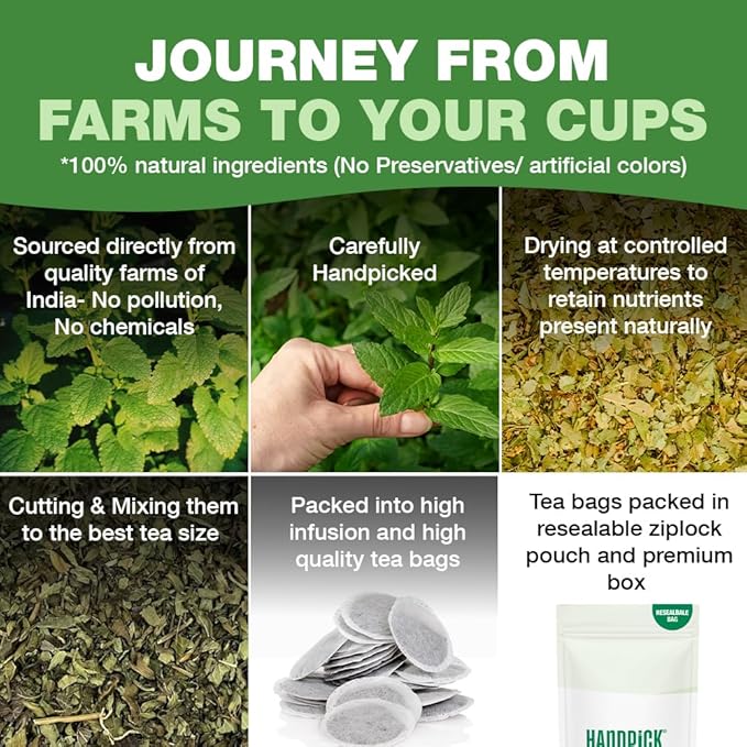 HANDPICK Lemon Balm Tea Bags – 100 Count | 100% Pure & Naturally Dried | Caffeine-Free Herbal Tea with Citrus Flavor & Aroma | Premium Lemon Balm Leaf for Calming and Digestion Support - Bloomnest