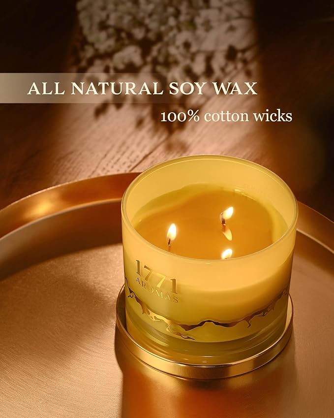 Citronella Candles Clearance - Outdoor and Indoor - Large 3 Wick Jar Candle - 100% Natural Soy Wax - Up to 50 Hours Burning Time - Gift-Ready Candle for Men & Women - Bloomnest