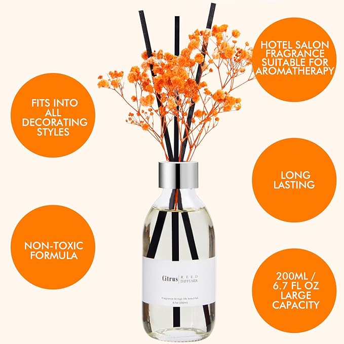 Clesh Reed Diffuser Set, 6.7 oz Citrus Scented Diffuser with Sticks, Home Fragrance Reed Diffuser for Bathroom Shelf Decor - Bloomnest
