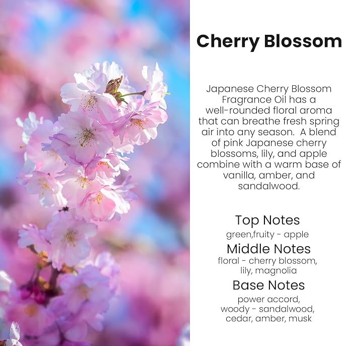 HoogaLife Car Air Freshener Diffuser 2 Pack Hanging Cherry Bloom Car Air Freshener for Women 45+ Days Long Lasting Fragrance Made in USA (C12) - Bloomnest