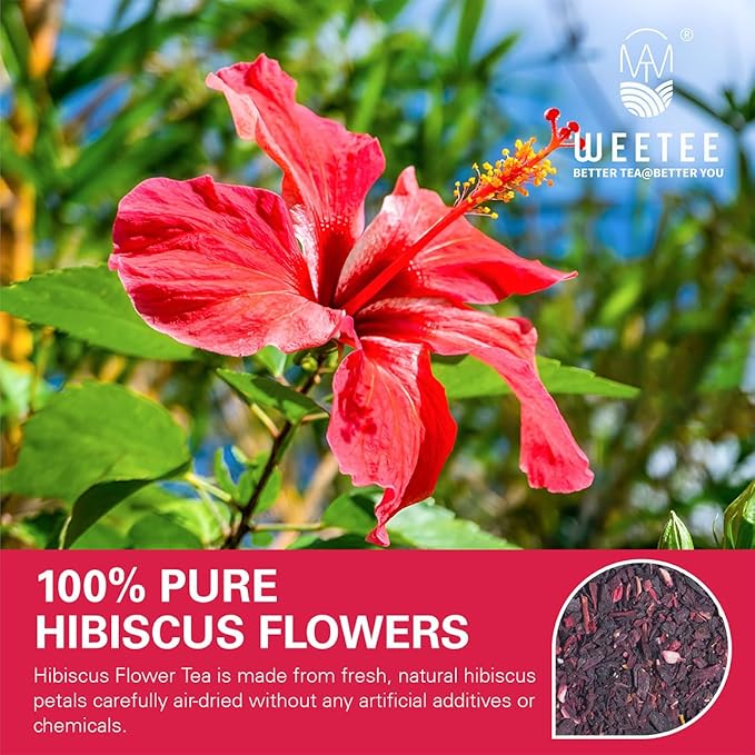 WT WEETEE Hibiscus Tea Bags, Made with 100% Pure Hibiscus Flowers, Natural Caffeine-free Herbal Tea, Tangy & Refreshing, Brew Hot or Iced - Bloomnest