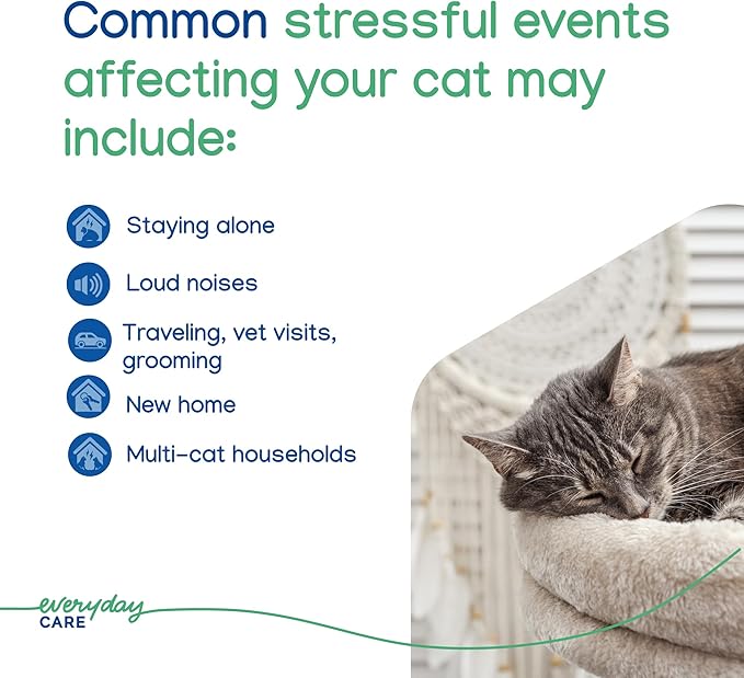 Virbac Zenifel Gel Diffuser for Managing Stress-Related Behaviors in Kittens & Cats - No Electricity Needed - Lasts Up to 2 Months - 1 Diffuser - Bloomnest