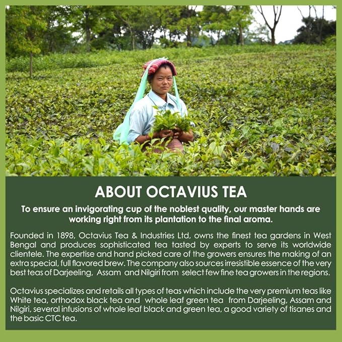 Octavius Indian Tea Collection in Handcrafted Pouches - 225 Gm | Assorted 3 Black Loose Leaf Teas | Indian Masala, Darjeeling, Assam | Premium Gift Box | 3 X 75 Each (2.64oz) - Bloomnest