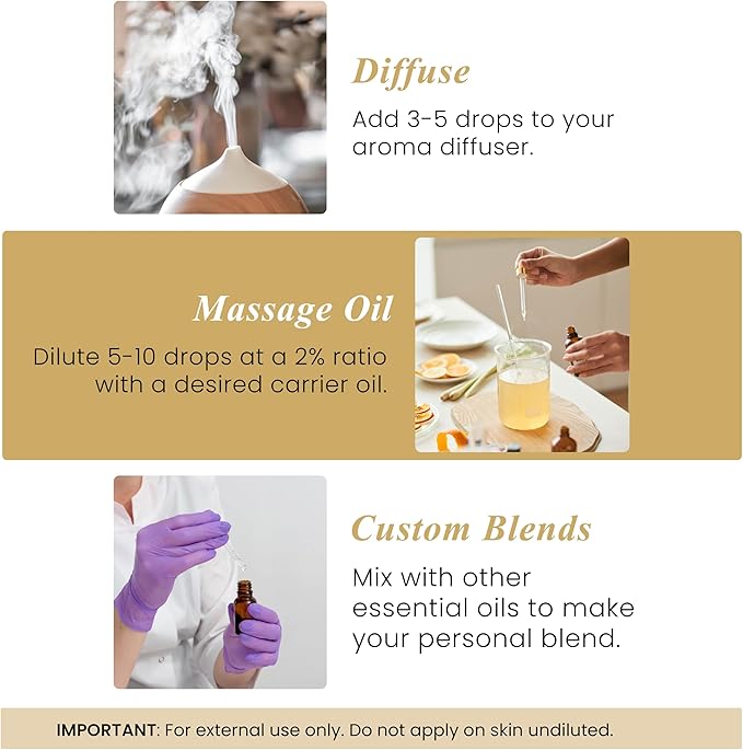 Handcraft Blends Ginger Essential Oil – 1 Fl Oz – 100% Pure and Natural – Premium Grade Essential Oil for Diffuser and Aromatherapy, Skin, Massage, Candle and Soap Making Fragrance - Bloomnest