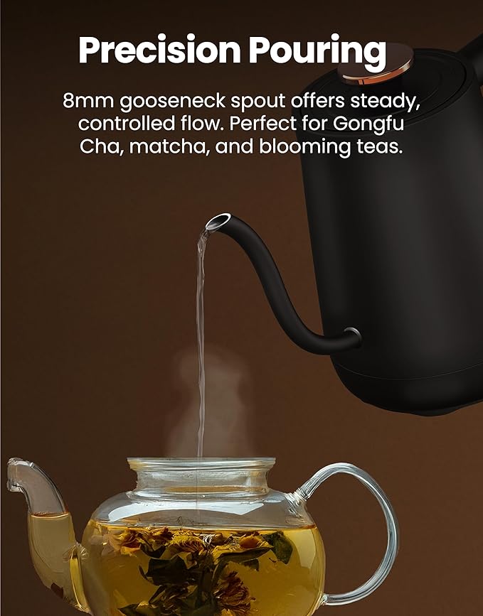 Vianté Electric Gooseneck Kettle with Precise Temperature Control. Pour Over Coffee & Tea Kettle. Boil-Dry Protection & Keep Warm Function. Stainless Steel, BPA-Free. Includes V60#2 Filters. 0.8L - Bloomnest