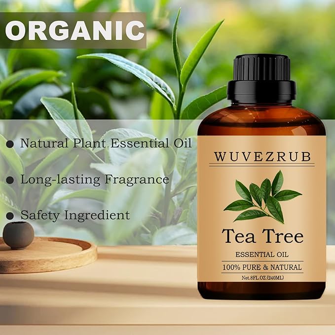 Tea Tree Essential Oils, 240ML 100% Pure and Natural Essential Oil for Aromatherapy Diffuser - Tea Tree /8 Fl Oz - Bloomnest
