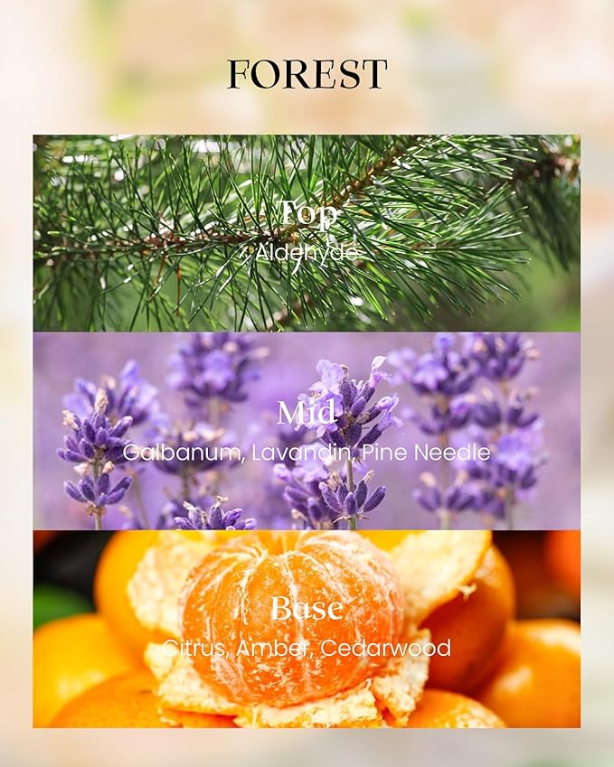 M&SENSE Forest Scented Vegan Soy Candles,8.1oz 42-Hour Slow Burning Time,No Toxin Naturally Scented Candles for Fall Winter Bathtub Aromatherapy Calming Home Fragrance, Thanksgiving Christmas Gifts - Bloomnest