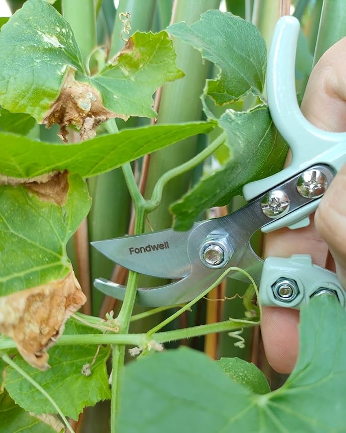Fondwell 6" Gardening Shears Hand Pruners: Lightweight Garden Trimmers with Bypass Blades - Reliable Bonsai Cutters for Small Plants - Bloomnest