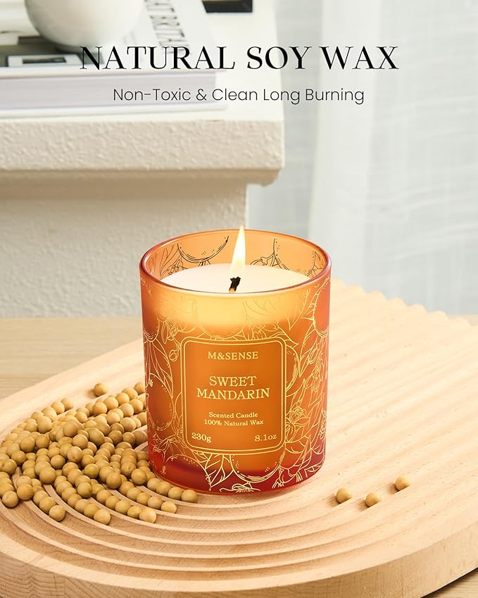 M&SENSE Citrus Scented Soy Candles,Vegan,No Toxin,8.1oz 42-Hour Slow Burning Time,Sweet Mandarin Heavy Scented Candle,Air Purifying Aromatherapy Office Home Fragrance - Bloomnest