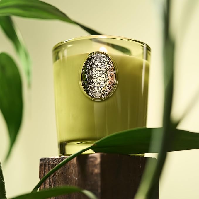 M&SENSE Natural Fresh Soy Candle | White Tea Sage & Matcha Green | 9.2 oz, 50H Burn Time | Luxury Scented Candle for Relaxation, Gifting, Home Décor | Ideal for Bedroom, Office, Party Ambiance - Bloomnest