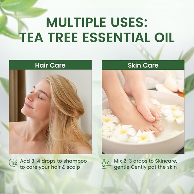 PHATOIL Pure Tea Tree Essential Oil, 100% Pure Therapeutic Grade Premium Oil for Hair Care, Nail Care, Skin Care, Aromatherapy 3.38Fl Oz - Bloomnest