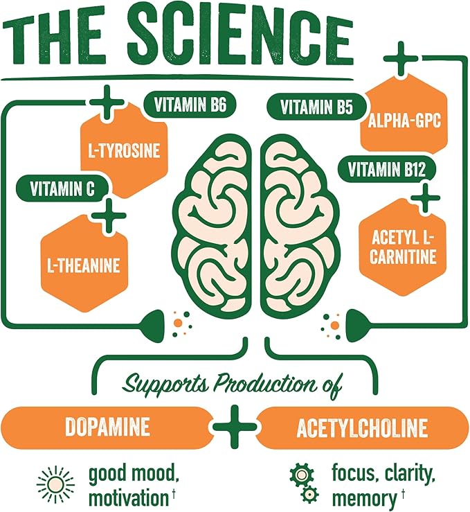 BrainJuice Active Focus & Energy Drink Shots, Supports Endurance, Recovery & Clarity, Non-GMO, Gluten Free, Nootropics, Alpha GPC, B Vitamins & Organic Green Tea, Pomegranate Acai, 2.5 fl oz, 12 Pack - Bloomnest