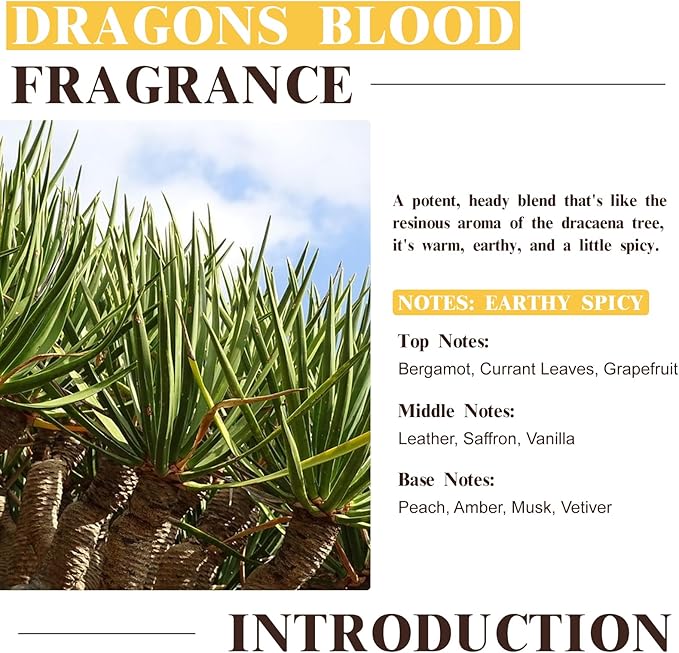 EUQEE Dragons Blood Fragrance Oils, 60ml Scent Essential Oils with Glass Dropper for Diffusers, Soap Making, DIY Bath Bombs - 2.02Fl oz - Bloomnest