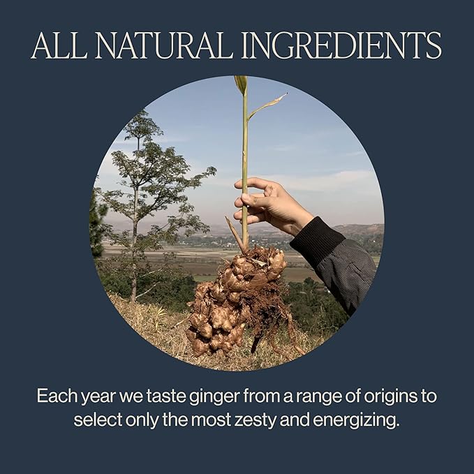 Rishi Tea Ginger Herbal Tea - Organic, Caffeine Free Loose Leaf, Pure Botanical Digestive - 16 Ounces, 56+ Servings - Bloomnest