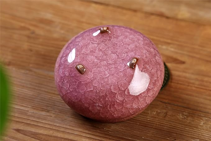 Ceramic Incense Burner with Incense Stick Holder + Insulation use for Stick or Coil Incense, Sage Cones and Frankincense (Violet) - Bloomnest