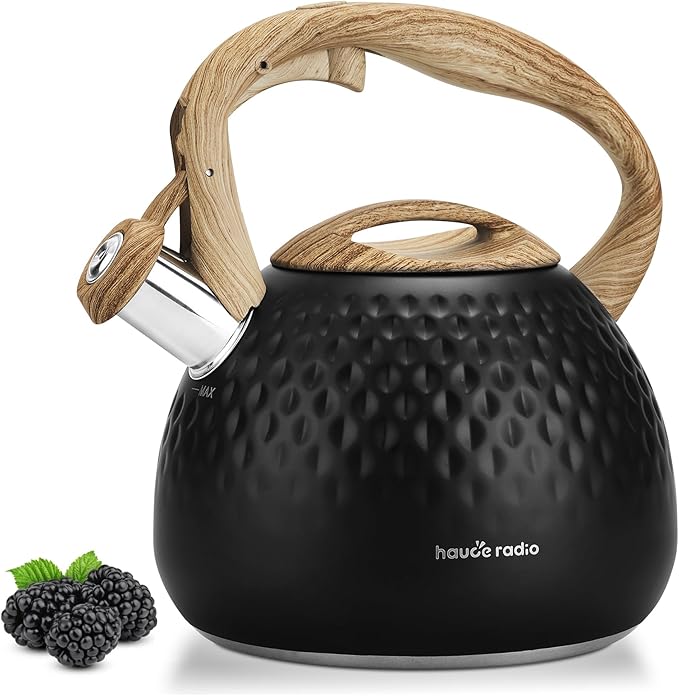 Tea Kettle Stovetop,2.5QT Stainless Steel Whistling Teapot for Stove Top Aesthetic,Portable Water Kettles Camping with Anti-hot Silicone Handle,Suitable for All Heat Sources,Black - Bloomnest