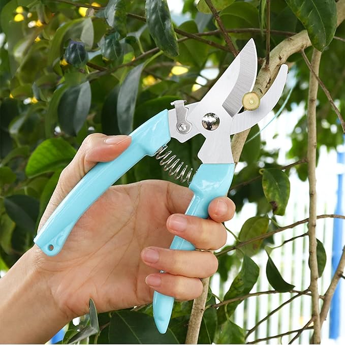 Premium Garden Shears, Pruning Scissors Gardening Tools, Pruners For Flower, Bushes, Rose And Fruit Tree, Use For Florist, Yard And Orchard the Plant Clippers, Sharp White Steel Anvil Snips - Bloomnest