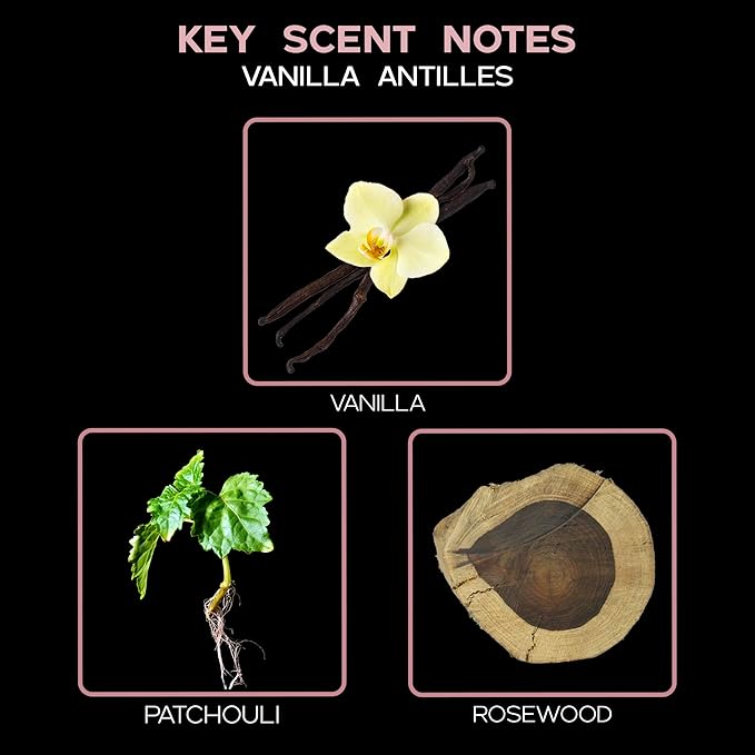 LOVSPA Vanilla Antilles Diffuser Oil - Luxury Essential Oils for Diffuser Refill & Air Freshener Room Spray - Long-Lasting & Natural Home Fragrance, Scented Oil for Diffusers, USA Made, 4oz - Bloomnest
