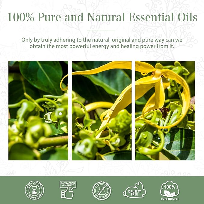 PHATOIL 100ML Ylang Ylang Essential Oil, Premium Essential Oils for Diffuser, Humidifier, 3.38fl.oz Scented Oils for Soap, Candle Making PHATOIL