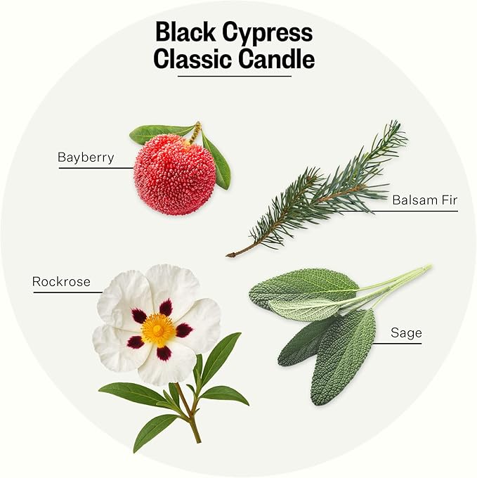Apotheke Signature Candle Scented Candles for Home, Black Cypress - 10.5 oz Seasonal Soy Wax Jar Candle - Long-Lasting Fall Scented Fragrance with Perfume-Grade Essential Oils - Bloomnest