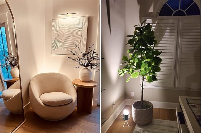 Spot Lights Indoor Floor Lamp, 6W Uplighting Indoor, Floor Can Lights for Plants Pictures Corner Ambient Lighting, 2 Pack - Bloomnest