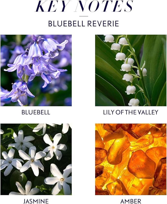 JCLOUD Bluebell Reverie Essential Oil for Diffuser - Hotel Diffuser Oil & Home Luxury Scents - Pure Aromatherapy Diffuser Oil with Bluebell, Jasmine and Amber, Natural & Pet Safe - 100mL JCLOUD