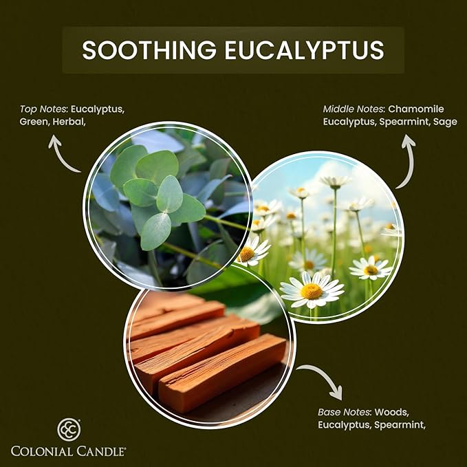 Colonial Candle Soothing Eucalyptus Scented Candle Jar, Highly Fragranced Candles for Home Scented, Mottled Wax Candle, 2 Wick, 8 oz - Made in The USA - Bloomnest