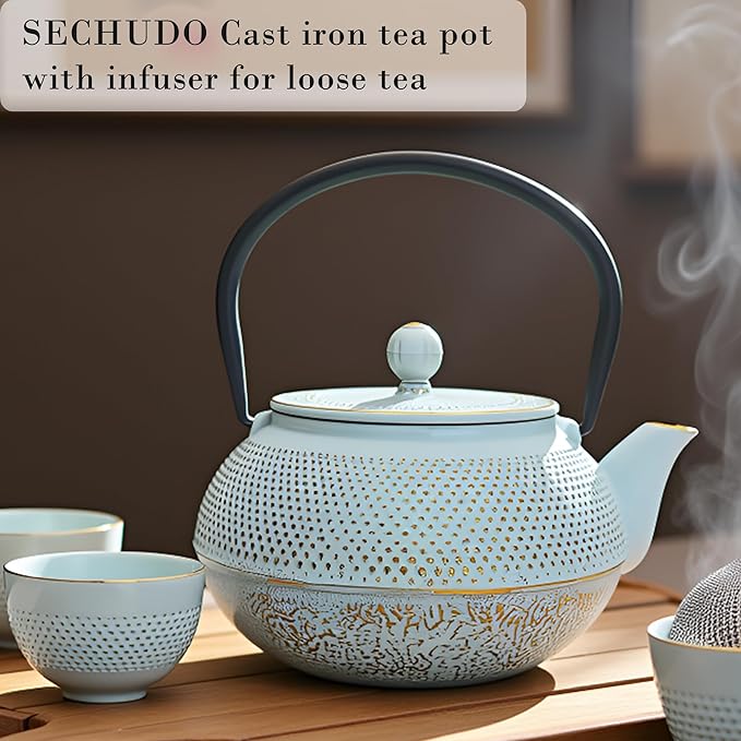 30.4oz Small Cast Iron Teapot, Tea Kettle for Stovetop Safe Coated with Enameled Interior, Japanese Tetsubin, Tea Pot with Stainless Steel Infuser for Loose Tea(900ml) - Bloomnest