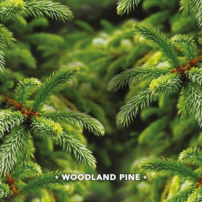 Febreze Car Vent Clip Air Freshener - Fresh-Cut Pine - Holiday Collection 2017 - Net Wt. 0.06 FL OZ (2 mL) Per Vent Clip - Pack of 2 Vent Clips - Bloomnest
