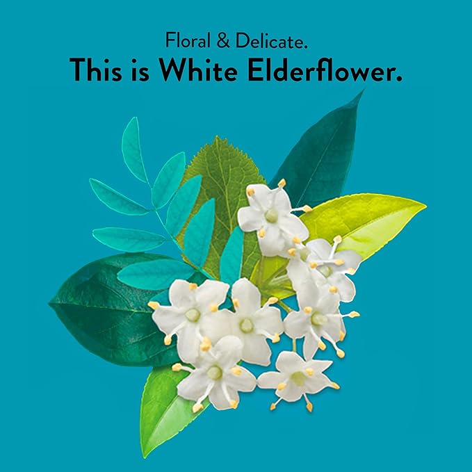 Choice Organic White Elderflower & Green Tea, Caffeinated, 16 Bags (Pack Of 6) - Bloomnest