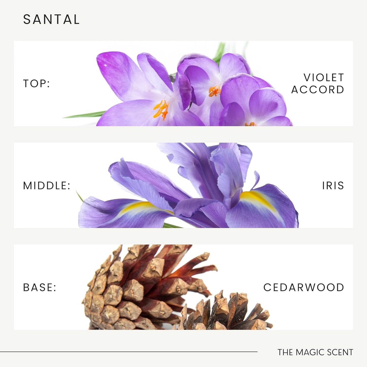 The Magic Scent Santal Fragrance Oil - Diffuser Oil Scent - Santal Aroma Diffuser Oils - Luxury Scents for Home - Sandalwood Oil - 4 fl oz, 120 mL