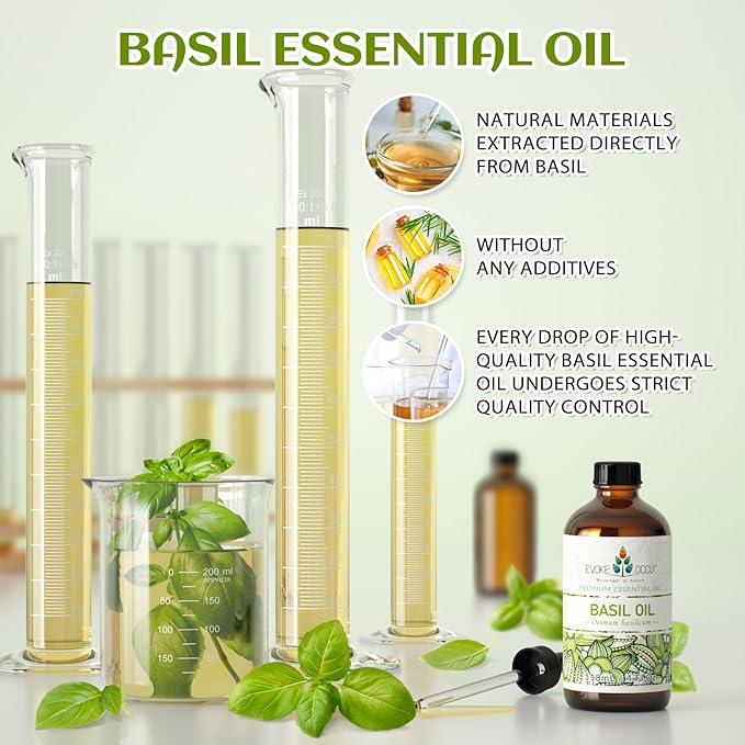EVOKE OCCU Basil Essential Oil for Skin Massage Diffuser and Candle Making- 4 Fl Oz - Bloomnest