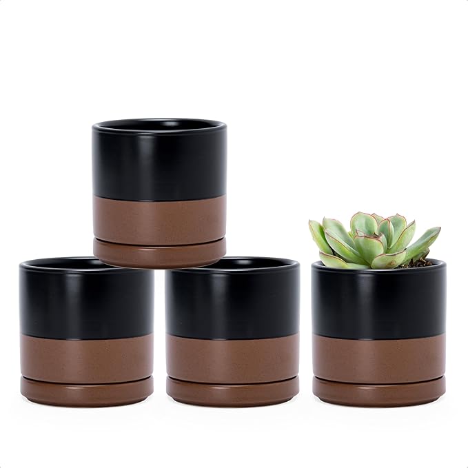 D'vine Dev Set of 4 Small Ceramic Plant Pots, 3.5 Inch Succulent Planter Pot for Plants with Drainage Hole and Saucer, Black/Speckled Tan, 94-X-A-7 - Bloomnest