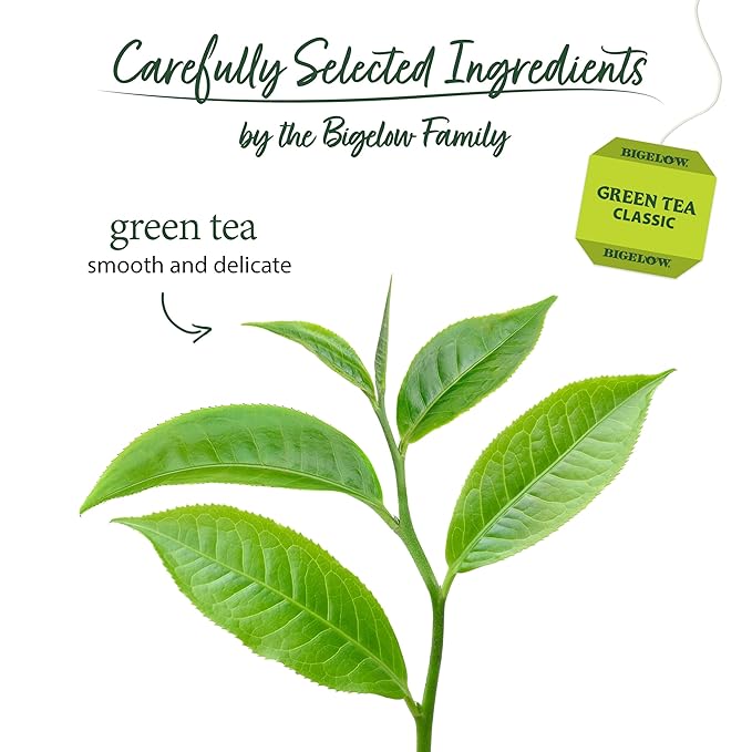 Bigelow Classic Green Tea Bags, 40-Count Boxes (Pack of 6), Caffeinated Green Tea, 240 Tea Bags Total - Bloomnest