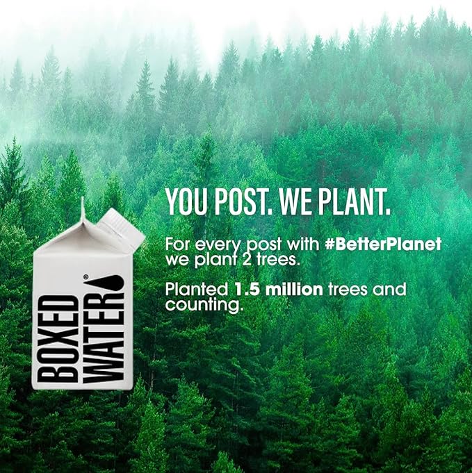 Mini Boxed Water (8.5 oz., 24 Pack) – Better Than Premium Plastic Purified Drinking Water in Plant-Based Cartons, BPA-Free, Refillable Cartons, Lunchbox Ready - Bloomnest