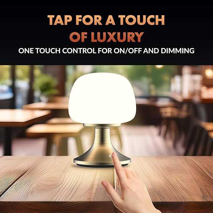 Newhouse Lighting Verona, Brass 2700K Dimmable Cordless USB-C Rechargeable Table Lamp NHTL-VE-BRS, Cordless Desk Lamp for Living Room, Bedroom, Coffee Table, and Other Cozy Home Decor - Bloomnest