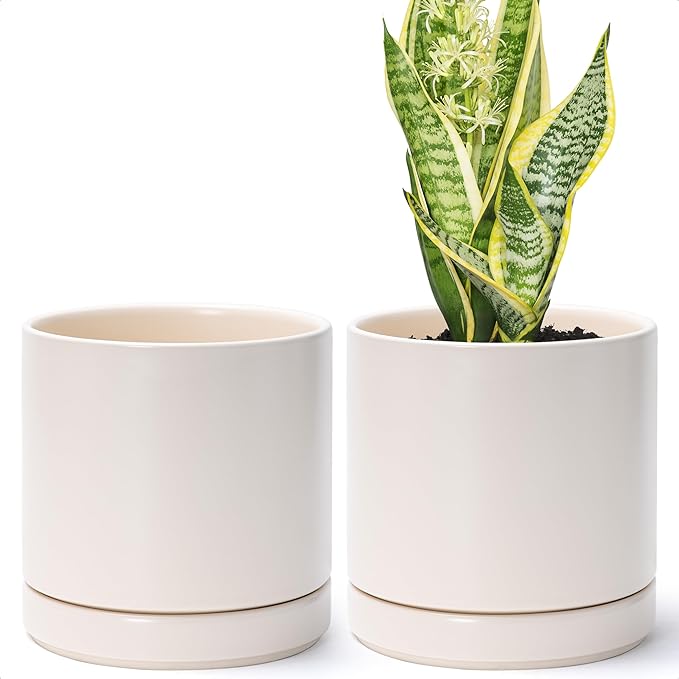 D'vine Dev Set of 2 Plants Pots, 6.5 Inch Ceramic Planter Pot for Plants with Drainage Hole and Saucer, Oatmeal, 94-V-C-8 - Bloomnest