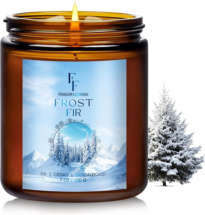 Winter Candle, Frost Fir Scented Candles for Home, Holiday Candles Natural Soy Candle, Aromatherapy Candle 7 oz Jar Candles Winter Gifts for Women Men - Bloomnest