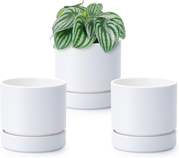 4 Inch Modern Plastic Round Pots for Indoor Houseplants and Herbs, Pack of 3 Planter Pot with Drainage Hole & Saucer, Deep Water Catch Tray, Straight Cylindrical Pot for Plants, Matte White, 23-D-R-1 - Bloomnest
