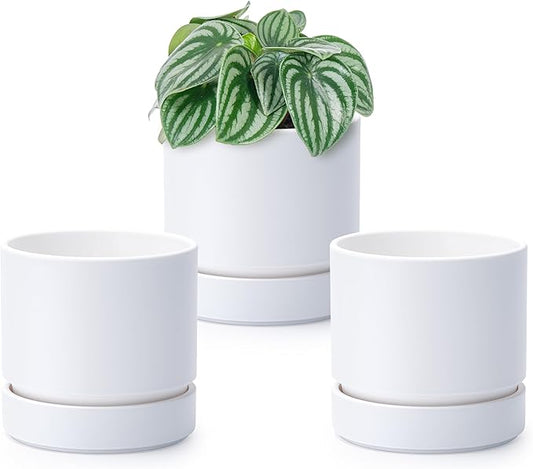 4 Inch Modern Plastic Round Pots for Indoor Houseplants and Herbs, Pack of 3 Planter Pot with Drainage Hole & Saucer, Deep Water Catch Tray, Straight Cylindrical Pot for Plants, Matte White, 23-D-R-1 - Bloomnest